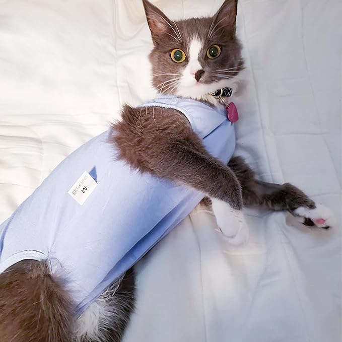 Cat Recovery Suit for Male and Female Surgical Post Surgery Soft Cone Onesie Shirt Clothes Neuter Licking Protective Diapers Outfit Cover Kitten Spay Collar(L, Blue)