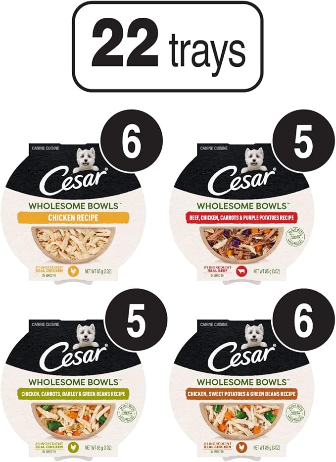 CESAR WHOLESOME BOWLS Adult Soft Wet Dog Food Variety Pack, (22) 3 oz. Bowls