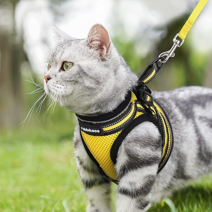 rabbitgoo Cat Harness and Leash Set for Walking Escape Proof, Adjustable Soft Kittens Vest with Reflective Strip for Cats, Comfortable Outdoor Vest, Bright Yellow, S