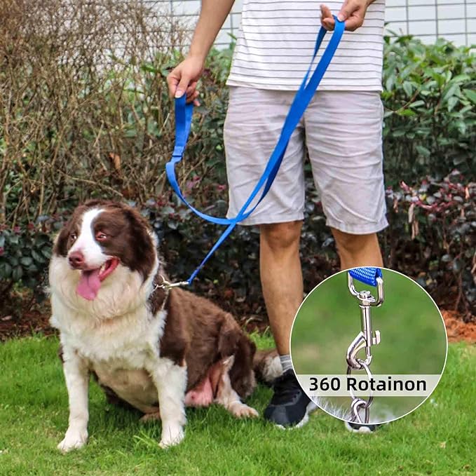 AMAGOOD 6 FT Puppy/Dog Leashes, Strong Traditional Style Leash with Easy to Use Collar Hook,Dog Lead Great for Small and Medium and Large Dog (3/4 in x 6 ft(Pack of 1), Blue)