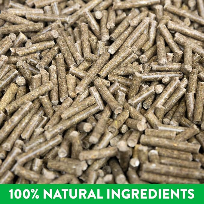 Pellet, Gastric Support Supplement for Horses | Palatable Alfalfa Pellet with Calcium, Magnesium, and 50+ Trace Minerals | 30 Day Supply