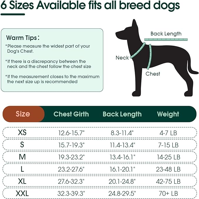 Kuoser Dog Surgery Recovery Suit, Recovery Suit for Female Male Dogs, Dog Onesie After Surgery Spay Neuter, Anti-Licking Pet Surgical Recovery Snugly Suit, Bodysuit for Abdominal Wounds Skin Disease