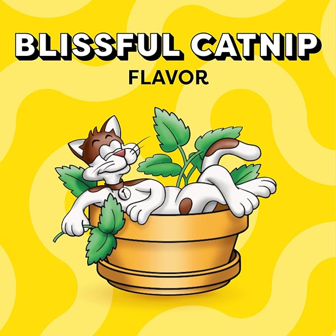 TEMPTATIONS Classic Crunchy and Soft Cat Treats Blissful Catnip Flavor, 16 Ounce (Pack of 1)