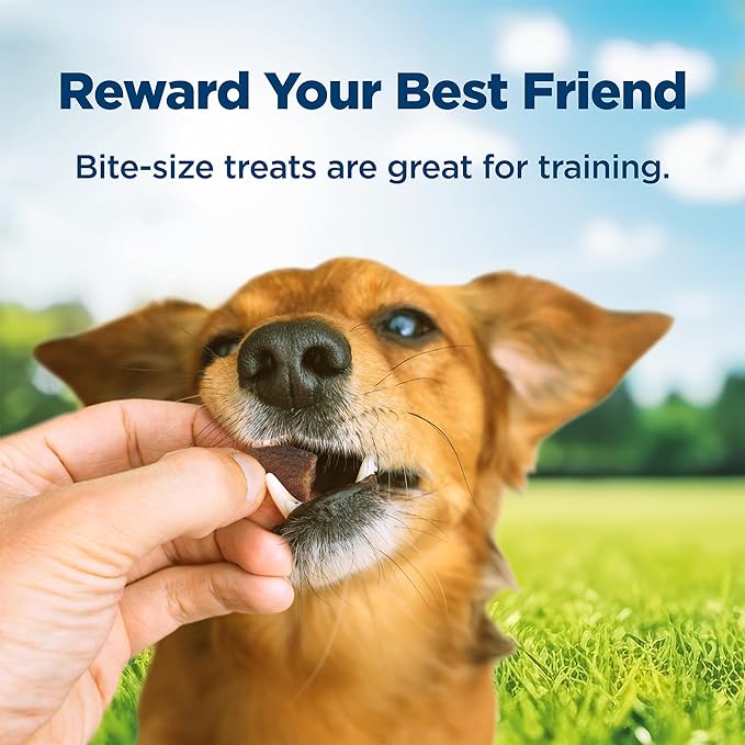 Blue Buffalo Nudges Bite-size Chewy Dog Treats with Real USA Beef, Made with Natural Ingredients, Great for On-the-Go, 5.5-oz. Container