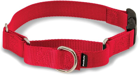 PetSafe Martingale Dog Collar with Quick-Snap Buckle - Large, 1 Inch, Red