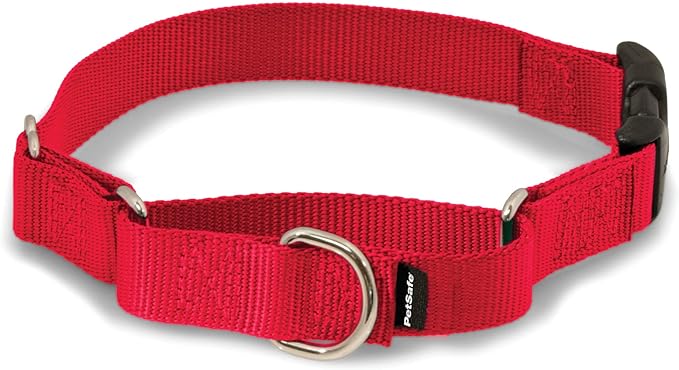 PetSafe Martingale Dog Collar with Quick-Snap Buckle - Medium, 1 Inch, Red