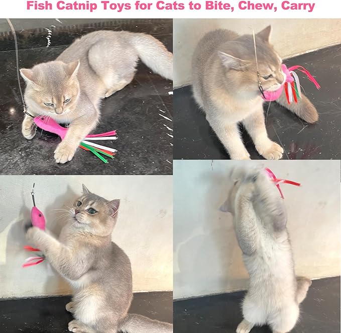 Cat Plush Toy Pink Fish, 5 PCS Catnip Toys for Cats, Soft Catnip Toys Filled Plush, Feather Teaser Accessories for Interactive Cat Wand Toy, Cat Chew Kicker Toys for Indoor Cats Kitten Exercise