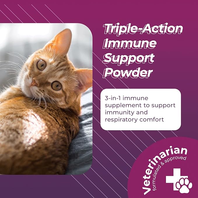 VetriScience Lysine Complete Triple Action Cat Lysine Powder with Scoop - 60 Servings - Immune Support Cat Supplements and Vitamins with L-Lysine and DMG for Immunity and Respiratory Health