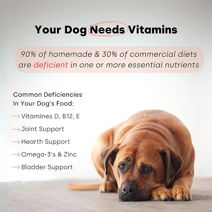 Kayode Daily Multi - Natural Homemade Dog Food Supplement. Dog Multivitamin with Omega for Dogs. Superfood Led. Dog Food Supplement for Homemade Food. Give As Treat Or Crumble On Meals.