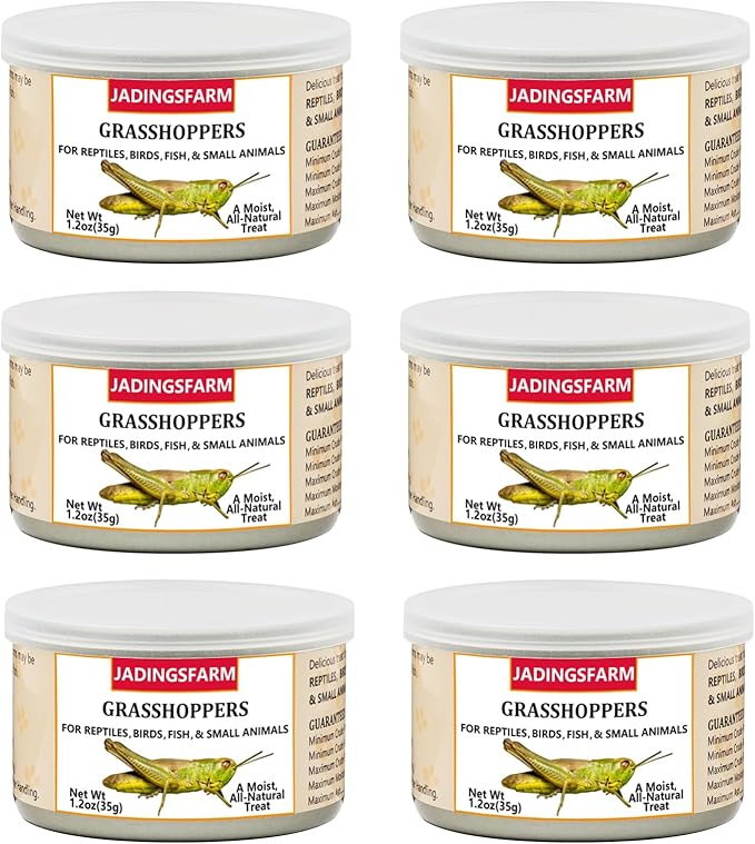 6 Pack Canned Grasshoppers for Reptiles, Fish, Birds and Small Animals, Grasshoppers, Healthy High Protein Treat, Reptile Bird Fish Food 1.2 Ounces Each