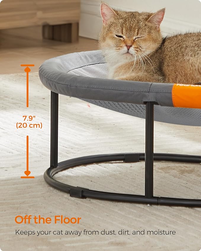 Feandrea Pet Bed, Elevated Cat Bed for Average Cats, Dog Bed for Miniature Dogs, with Removable Washable Mesh, for Pets up to 20 lb, Oval, Gray UPCB001G01