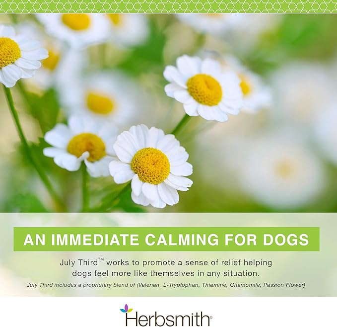 Herbsmith July Third - Canine Calming Chews - Calming Herbs for Dogs - Anxiety Supplements for Dogs - 30ct Small Chews