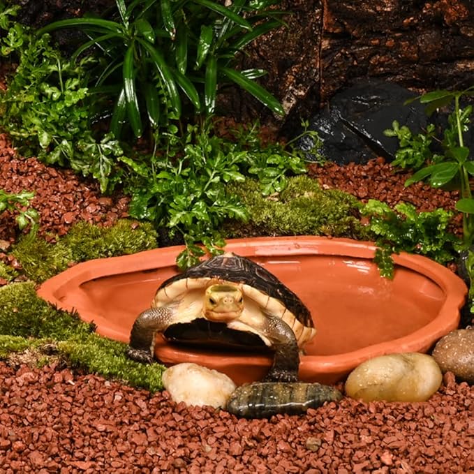 Flushbay Extra Large Reptile Bathing Pool Tortoise Bathing Pool Reptile Feeding Dish Water Bath Bowl Aquarium Ornament for Gecko, Snake, Turtle, Bearded Dragon, Lizard Bath (Red Pottery)