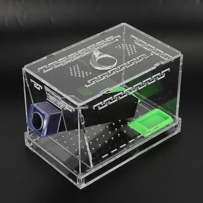 Pssopp Cricket Keeper Acrylic Cricket Pen with Hiding Tubes Transparent Design Convenient for Cricket(S)