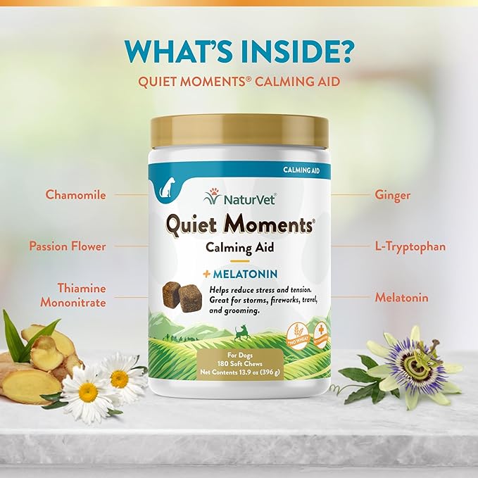 NaturVet Quiet Moments Calming Aid Dog Supplement, Helps Promote Relaxation, Reduce Stress, Storm Anxiety, Motion Sickness for Dogs (Quiet Moments, 180 Soft Chews)