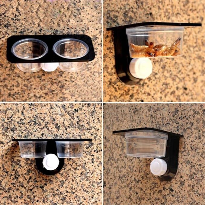 Reptiles Lizard Gecko Food Water Bowls Terrarium Breeding Feeders Box Feeding Bowl for Small Reptiles(White)