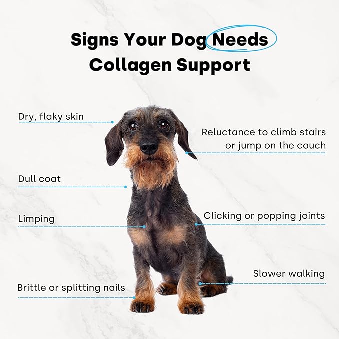 Collagen Puptides - Collagen for Dogs | Great for Senior Dog Joints. Premium Bovine, Marine Collagen, Omega 3s. for Dog Joints, Cartilage & Skin.. Tasty Steak Collagen Chews for Dogs