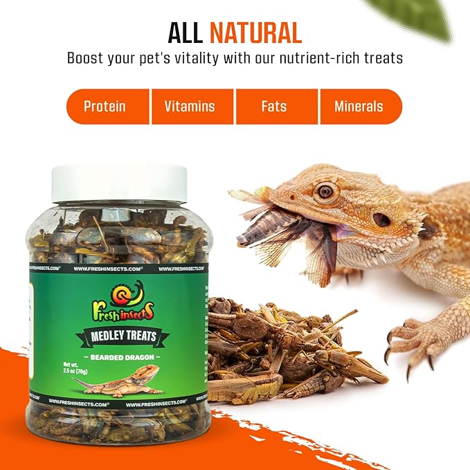 Medley Treat Bearded Dragon Food - Freeze Dried Mealworms, Grasshoppers, Crickets, Quality Tested, Vitamin & Calcium Enriched, Essential Proteins, Fats & Minerals - for Bearded Dragons, Reptiles 6 oz