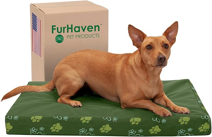 Furhaven Water-Resistant Memory Foam Dog Bed for Medium/Small Dogs w/ Removable Washable Cover, For Dogs Up to 35 lbs - Indoor/Outdoor Garden Print Mattress - Jungle Green, Medium