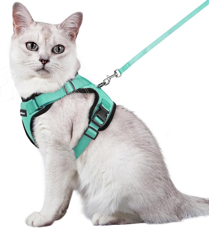 rabbitgoo Cat Harness and Leash for Walking, Escape Proof Soft Adjustable Vest Harnesses for Cats, Easy Control Breathable Reflective Strips Jacket, Emerald, M