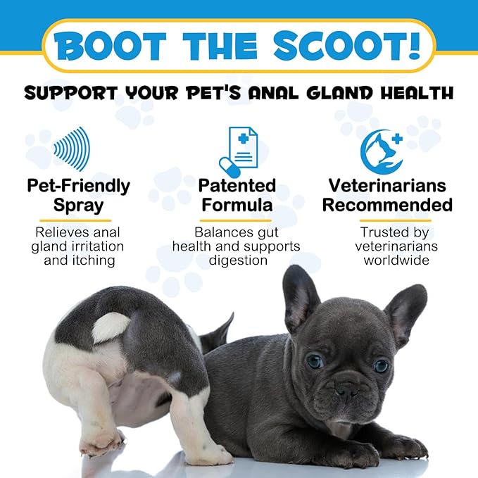 Anal Gland Spray for Dogs, Dog Anal Gland Spray with Aloe Vera & Chamomile Supports Pain Relief, Stop Scooting, Reduce Tough Odors & Soothes Itching - Dog Supplies Anal Gland Support Spray - 4.4 Fl Oz