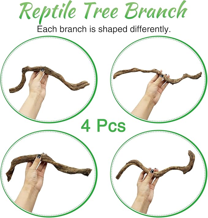 Reptile Branch Decor Snake Climbing Wood Branches Lizard Habitat Decorations Terrarium Wooden Tree Trunk Ornament for Bearded Dragon Snake Geckos Chameleon Frog 4 Pcs (14-16 inch)