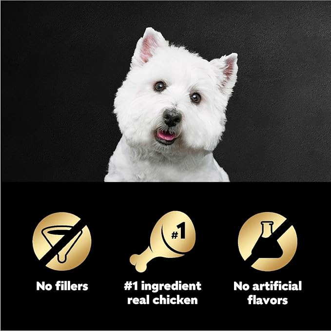 Cesar Filets in Gravy Wet Dog Food Wood-Grilled Chicken Flavor, 1.76 oz. Mini-Pouch, 20 Pack