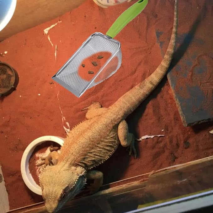 Reptile Sand Substrate Scoop Reptile Sand Fine Mesh Reptile Scooper Stainless Steel Terrarium Substrate Sand Bedding Litter Cleaner Scoop and Reptile Long Feeding Tongs Set (Green-2mm)