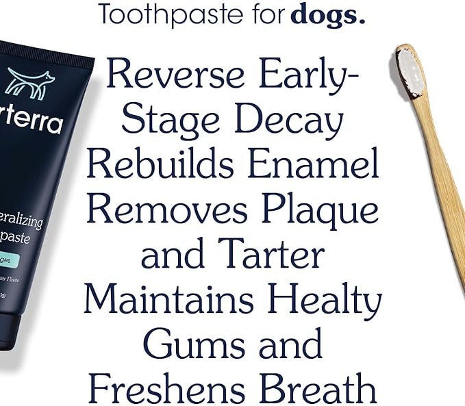 Remineralizing Dog Toothpaste – Vet-Grade, with Nano-Hydroxyapatite, Reverses Early-Stage Decay, Cleans Teeth, Removes Tartar, Freshens Breath by Arterra Pet Science, Plant-Based, Natural Flavor, 4oz