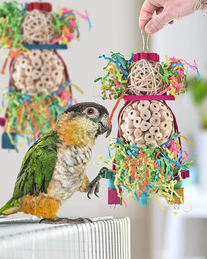 Bissap Conure Toys, 2PCS Bird Parrot Foraging Shredder Hanging Toys Sola Balls Sepak Takraw with Pacifier for Small Parrots Parakeets Conures Cockatiels Love Birds Cage Toy