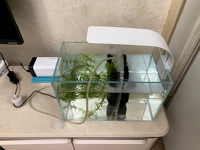 Small Nano Tall Rimless Tank, Small Glass Fish Tank, Small Betta Fish Tank, Small Aquarium, min Aquarium, Betta Tank (2.85 Gallon 11.8x6.7x7.8inch/30x17x20cm)