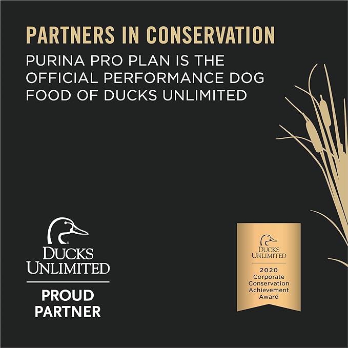 Purina Pro Plan Sport High Protein Turkey, Lamb & Venison Entrée Wet Dog Food - (Pack of 12) 13 oz. Cans