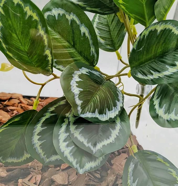 Reptile Plants for Terrarium, Amphibian Habitat Decor Artificial Hanging Plants with Suction Cup, Artificial Plants for Gecko Chameleon Snake Tortoise Tank Accessories. 2-Pack (Calathea makoyana)