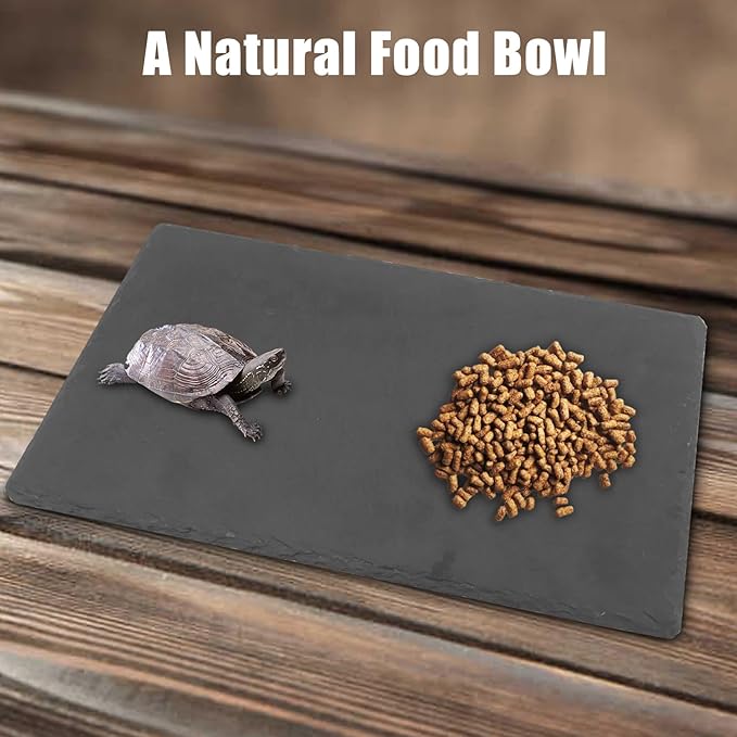 Reptile Basking Platform 2 Pcs Tortoise Rock Plate Natural Turtle Food Bowl Dish 11.81 x 7.87 inch Feeding Slate Rock for Lizard Tortoise Bearded Dragon Chameleon Gecko Frog Snake