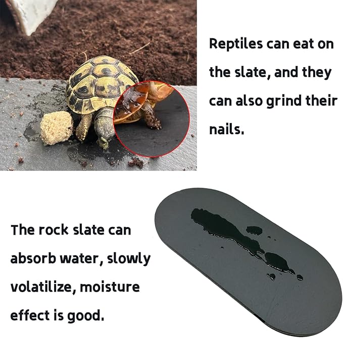 Reptile Basking Platform 11.2''x5.7'' Turtle Rock Slate Food Bowl Feeding Dish Plate Tortoise Resting Bathing Platform for Gecko Bearded Dragon Lizard Chameleon Snake Frog