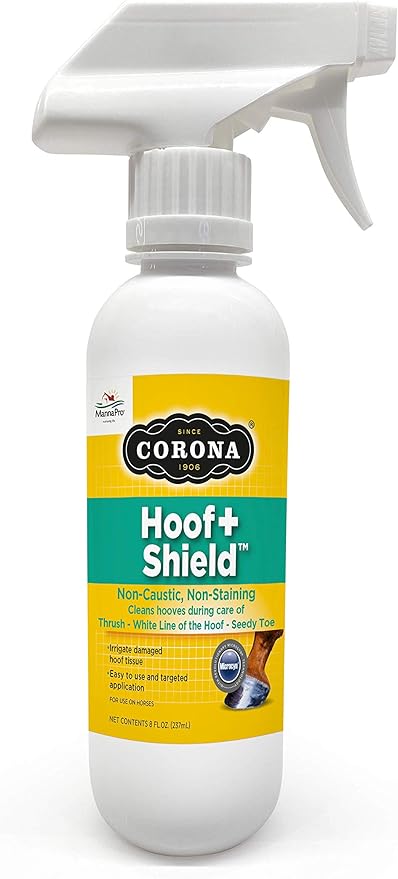 Corona Spray Staining, Non-Caustic Thrush Care for Horses | 8 Fluid Ounces