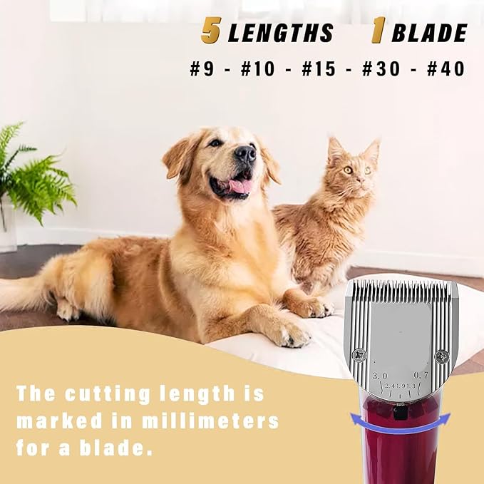 5 in 1 Blades Adjustable Dog Grooming Replacement Blades Compatible with Wahl Animal Clipper Arco, Bravura, Chromado, Creativa, Figura, and Motion Pet, Dog, and Horse (Silver/3PC)