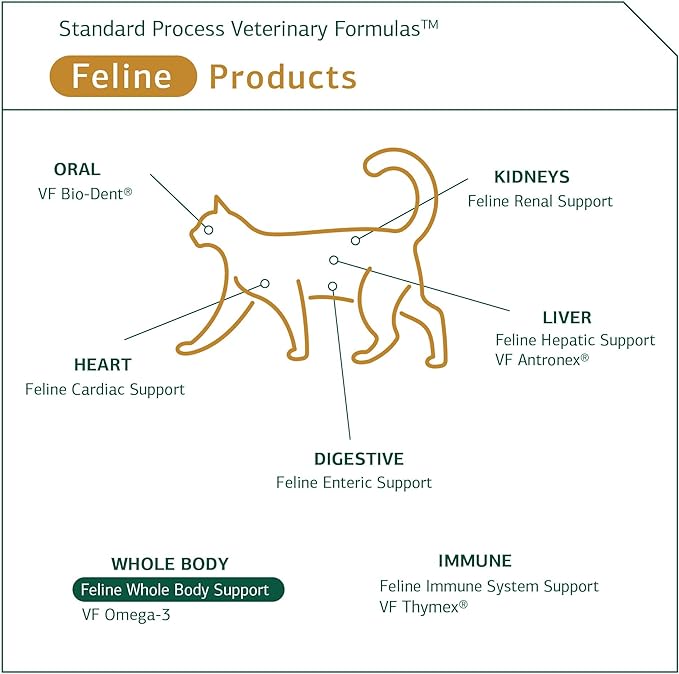Standard Process Feline Whole Body Support - Nutritional Cat Supplement for Multisystem Support - Feline Daily Maintenance Supplement - 90 tablets