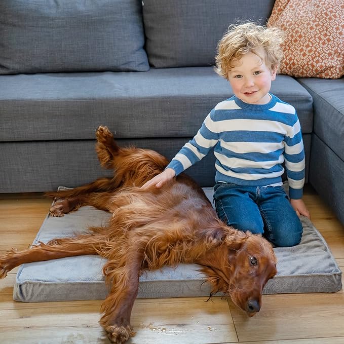 Best Friends by Sheri Dog Bed Cover Replacement for Nap Mat Dog Bed, Microfiber Shibori, Grey, 27" x 36"