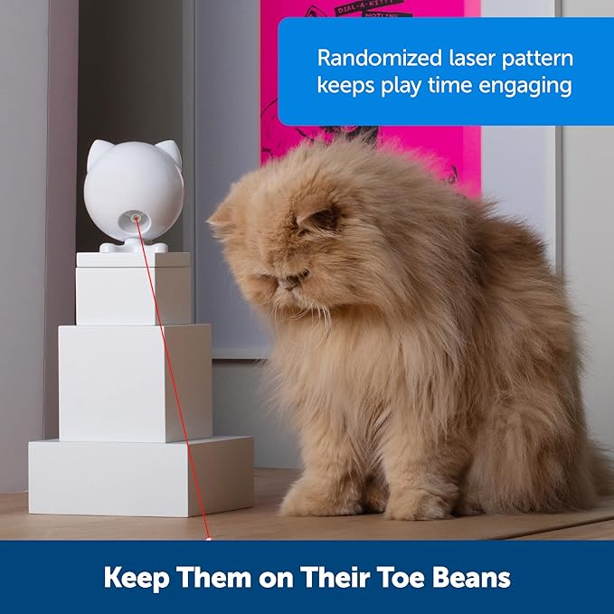 PetSafe Dancing Dot Laser Cat Toy - Interactive Playtime for Cats - 2 Play Modes