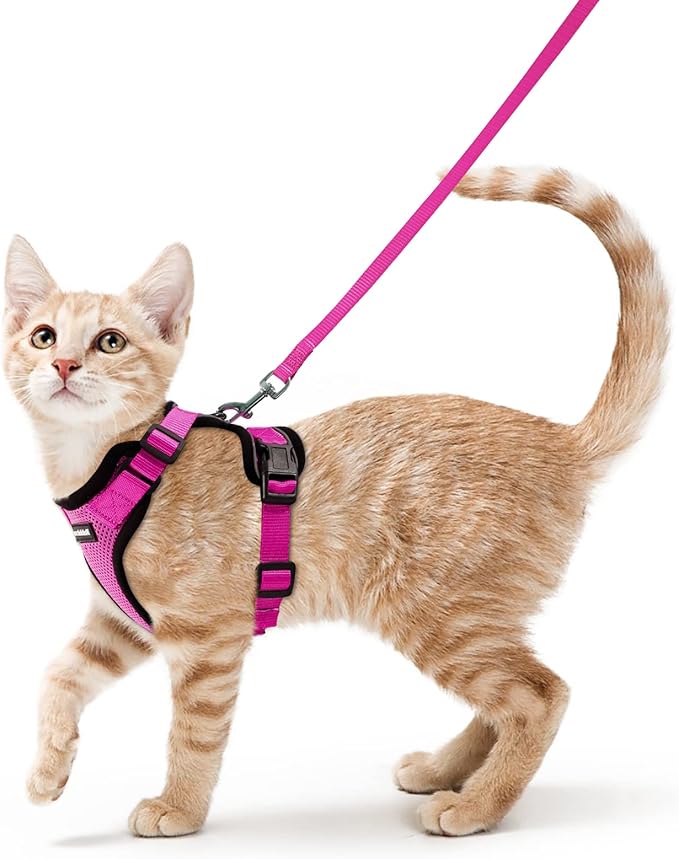 rabbitgoo Cat Harness and Leash for Walking, Escape Proof Soft Adjustable Vest Harnesses for Cats, Easy Control Breathable Reflective Strips Jacket, Rose Red, XS