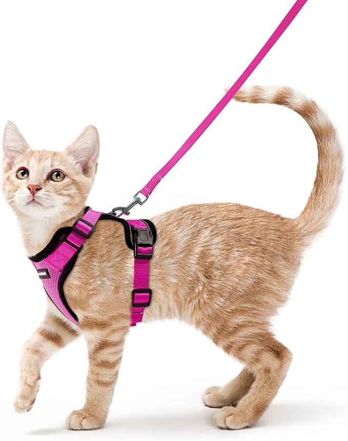 rabbitgoo Cat Harness and Leash for Walking, Escape Proof Soft Adjustable Vest Harnesses for Cats, Easy Control Breathable Reflective Strips Jacket, Rose Red,S