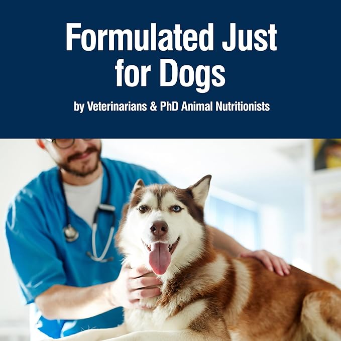 Blue Buffalo True Solutions Top Form Wet Dog Food for Active Adult Dogs, Supports an Active Lifestyle, Made with Natural Ingredients, Chicken, 12.5-oz. Cans (12 Count)