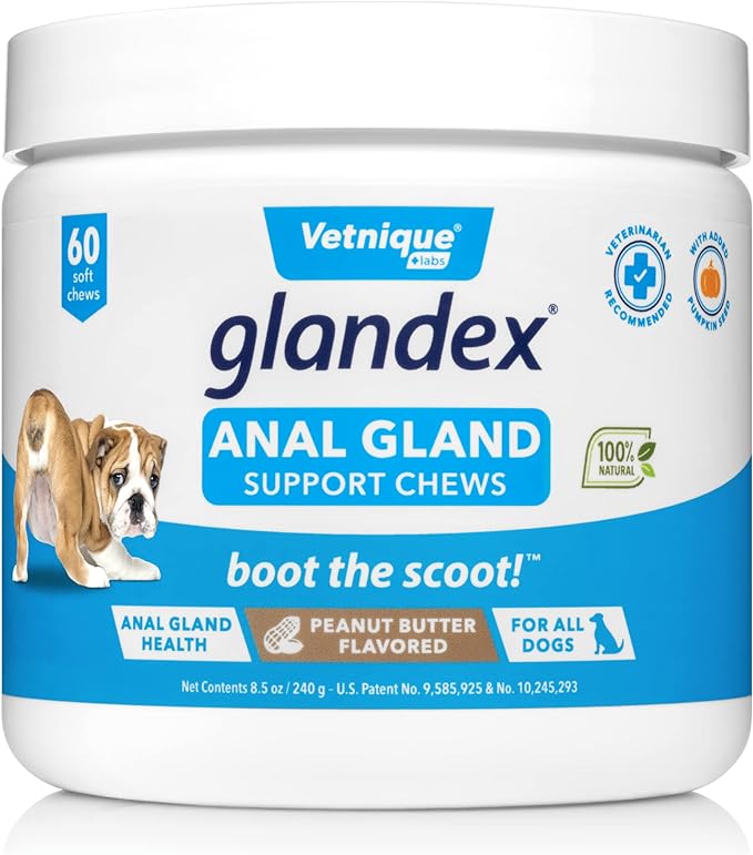 Glandex Anal Gland Soft Chew Treats with Pumpkin for Dogs Digestive Enzymes, Probiotics Fiber Supplement for Dogs Boot The Scoot (Peanut Butter Chews, 60ct)