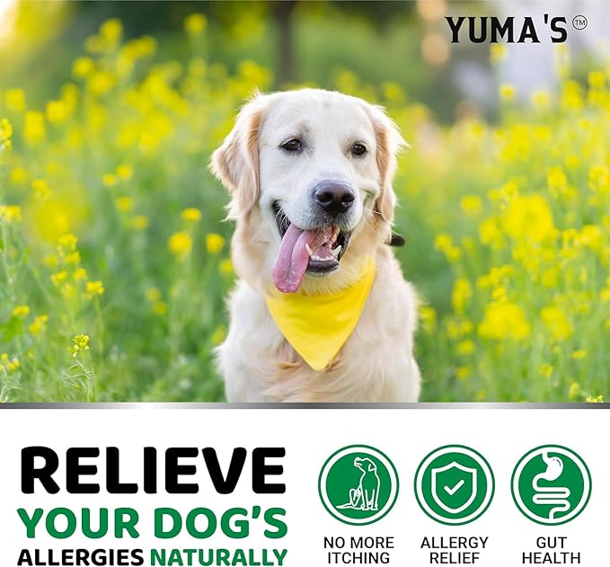 YUMA'S 2-Pack Dog Allergy Relief Chews - Dog Itching Skin Relief Treatment Pills - Anti-Itch for Dogs - Itchy and Paw Licking - Dry Skin & Hot Spots - Omega 3 Fish Oil - Skin & Coat Supplement