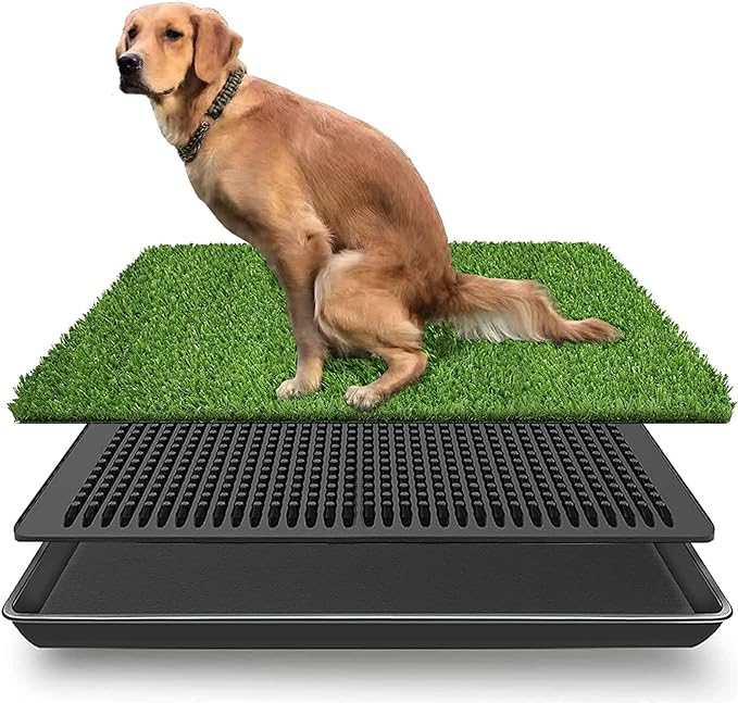 Dog Potty Tray Indoor Outdoor Washable Pee Pad for Dogs, 3 Layered System Dog Litter Box for Puppy Training (30 x 20 Grass with Tray)