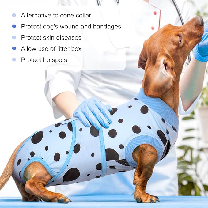 Kuoser Recovery Suit for Dogs, Soft Breathable Dog Recovery Suit Female Male Dog Onesie Alternative to Cone E-Collar, Dog Body Suits After Surgery, Pet Abdominal Anti Licking Shirt, Blue S