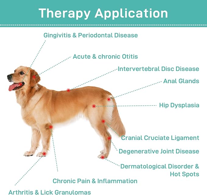 Cold Laser Therapy for Dogs - 2024 Upgraded Infrared Red Light Therapy Vet Device, Portable Laser Therapy Device for Pain Relief Arthritis, Spinal, Promote Blood Circulation (Blue)