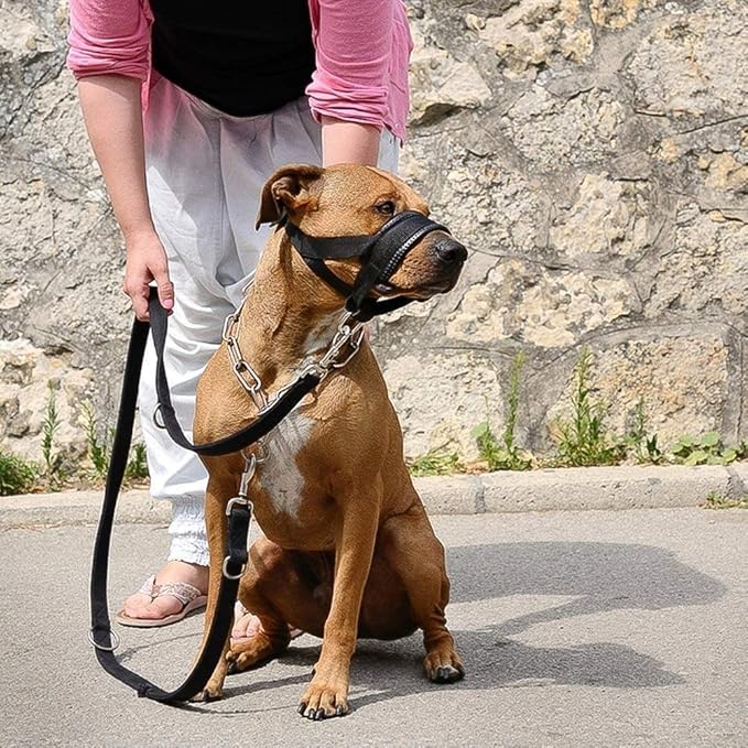 Nylon Dog Muzzle for Small,Medium,Large Dogs Prevent from Biting,Barking and Chewing,Adjustable Loop(S/Green)