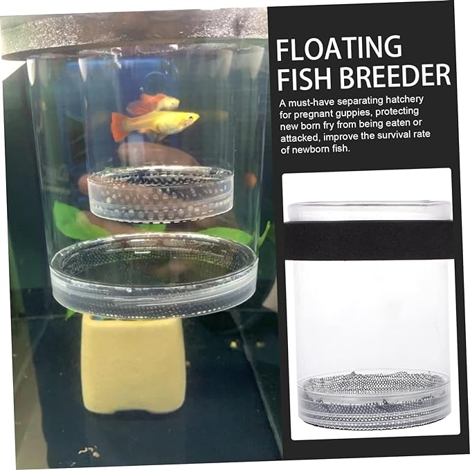 Box Pot Incubators Fishbowls Aquatainer Fish Net Box Fish Breeding Boxes Floating Box Fish Aquarium Boxes Fish Tank Hatching Incubator